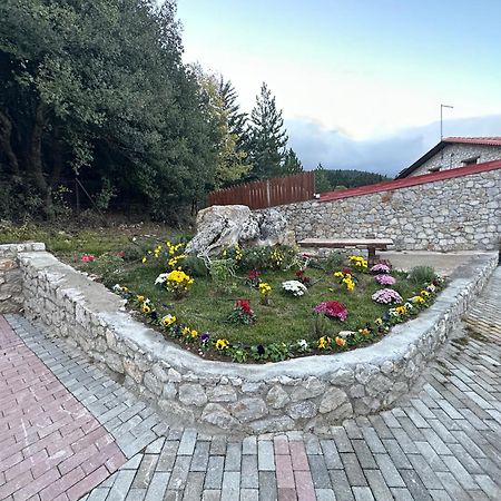 Parnassos Chalets Αράχωβα Εξωτερικό φωτογραφία