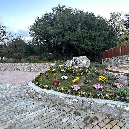 Parnassos Chalets Αράχωβα Εξωτερικό φωτογραφία