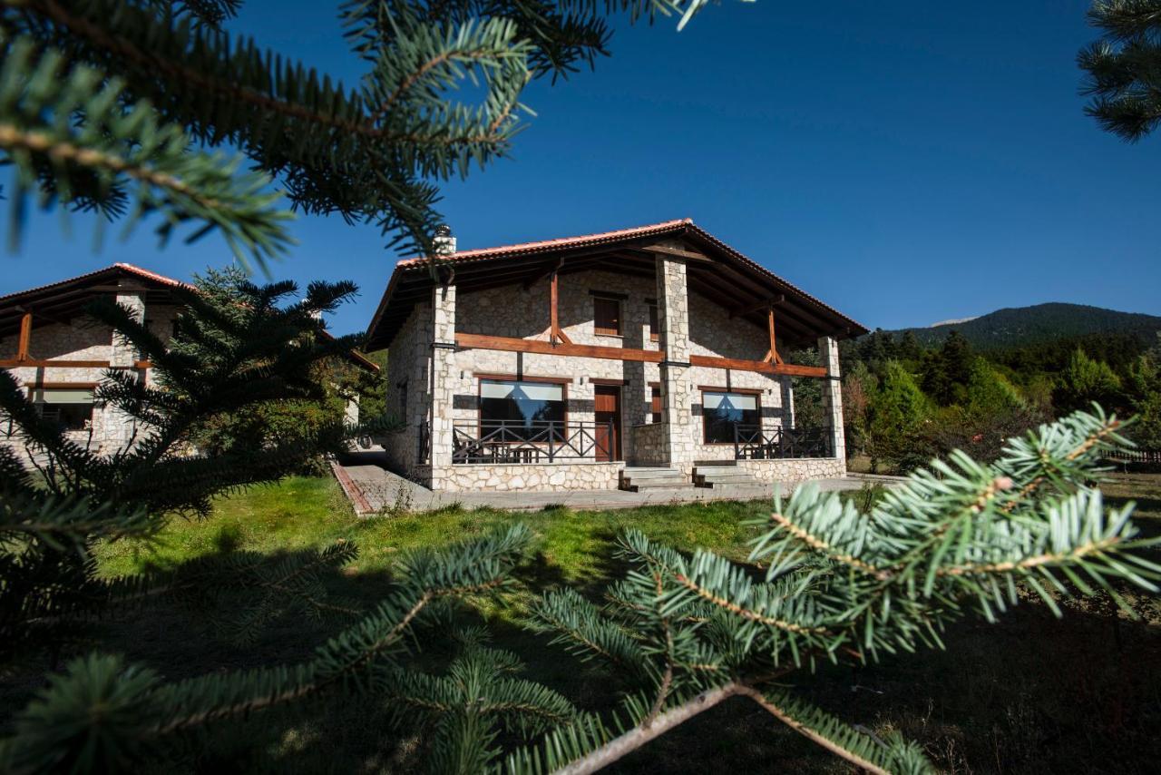 Parnassos Chalets Αράχωβα Εξωτερικό φωτογραφία