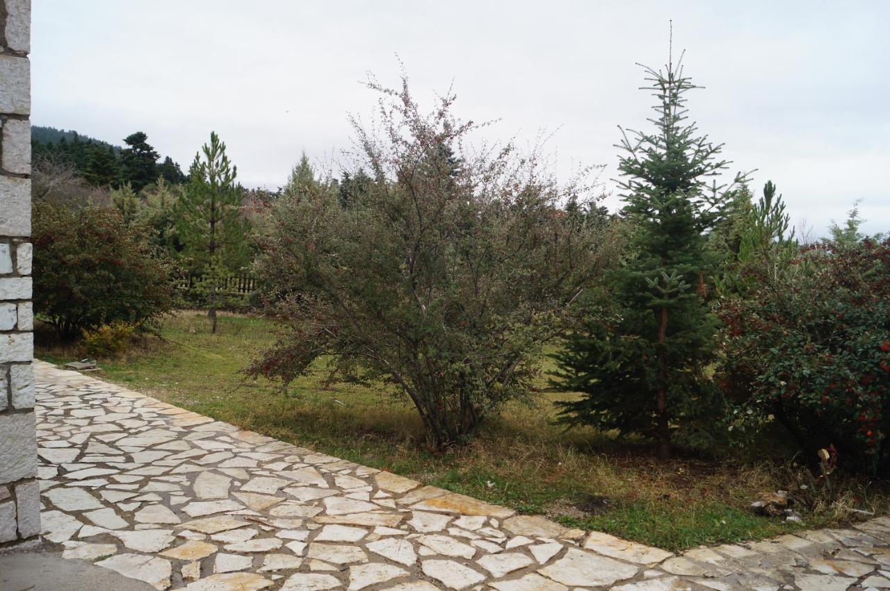 Parnassos Chalets Αράχωβα Εξωτερικό φωτογραφία