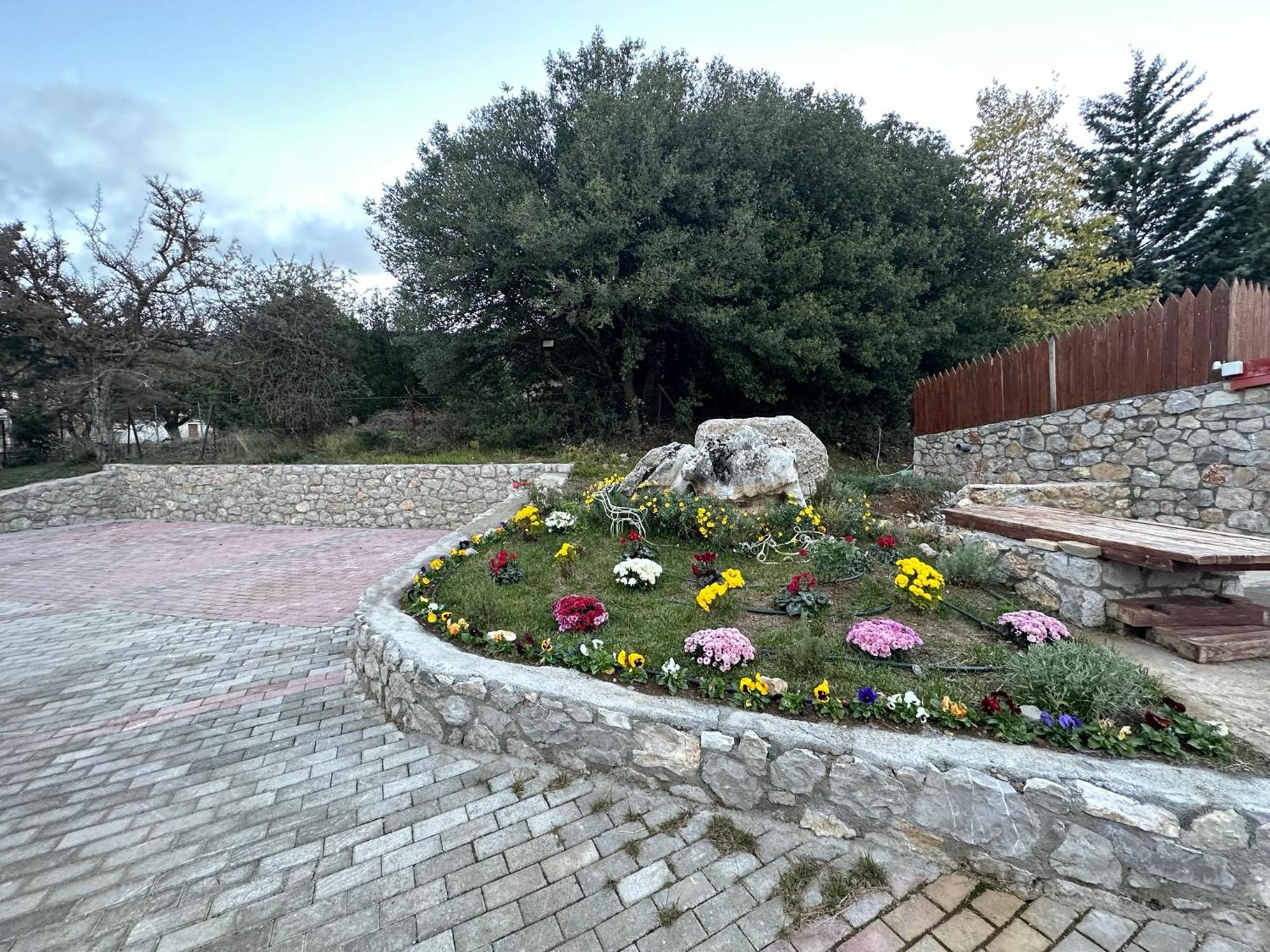 Parnassos Chalets Αράχωβα Εξωτερικό φωτογραφία